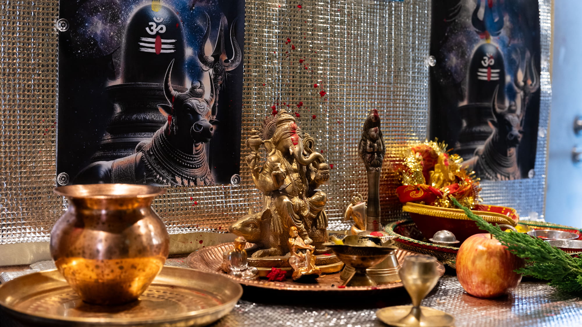 Andhra Dining SHIBUYA