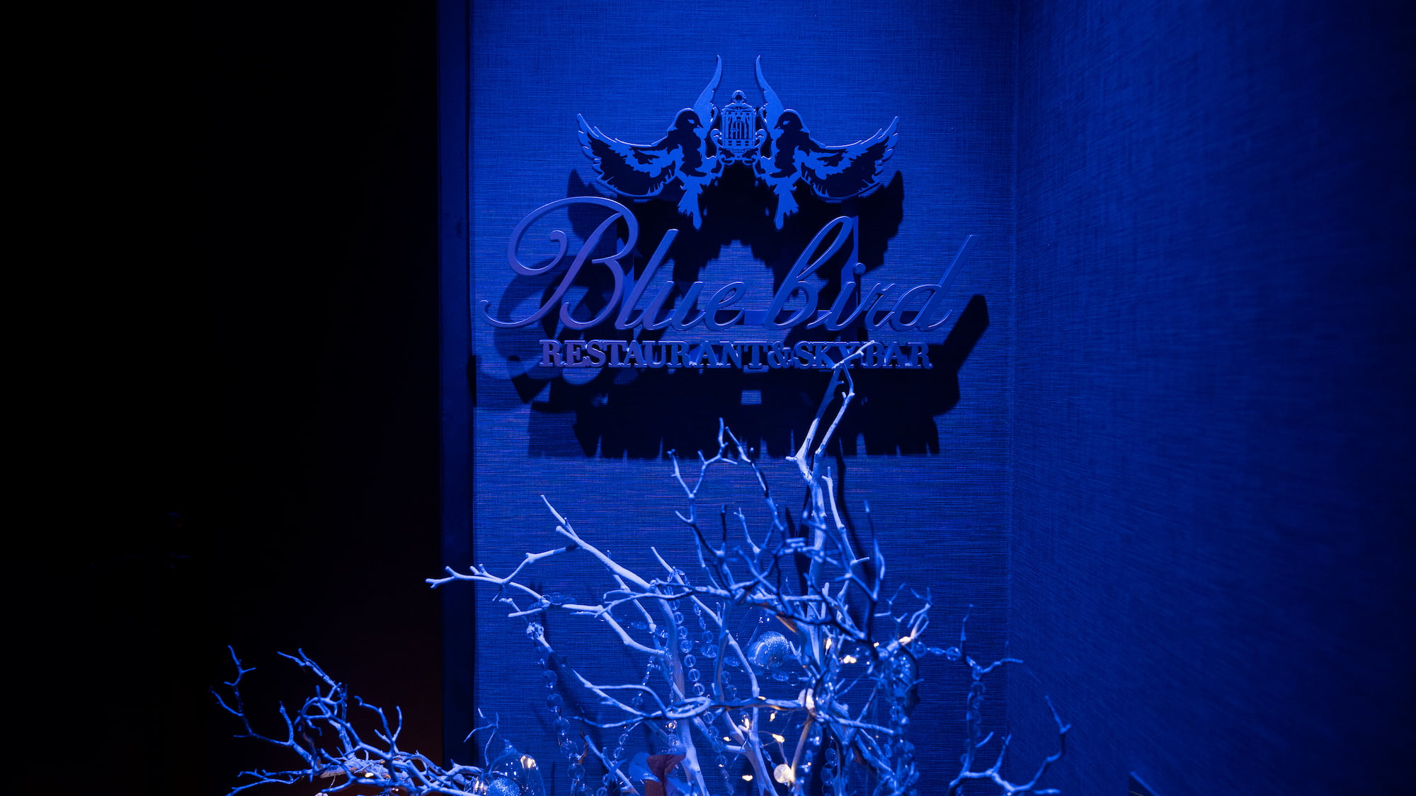 RESTAURANT & SKY BAR 渋谷Blue bird