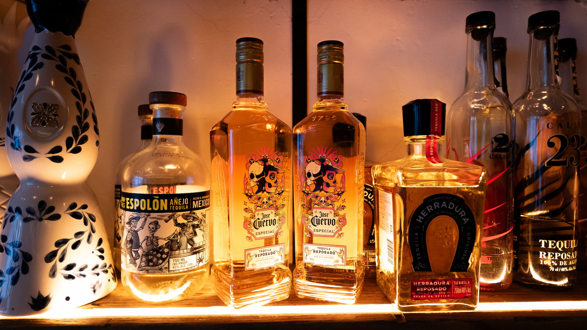 タコファナティコ 渋谷