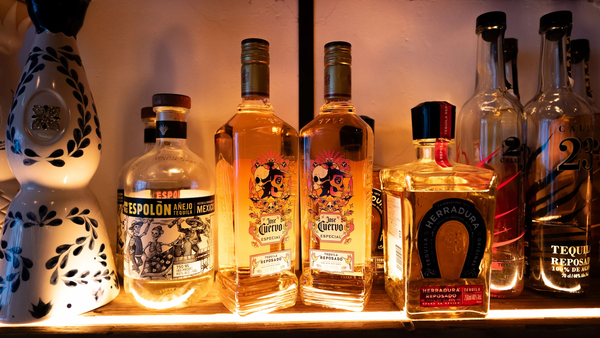 タコファナティコ 渋谷